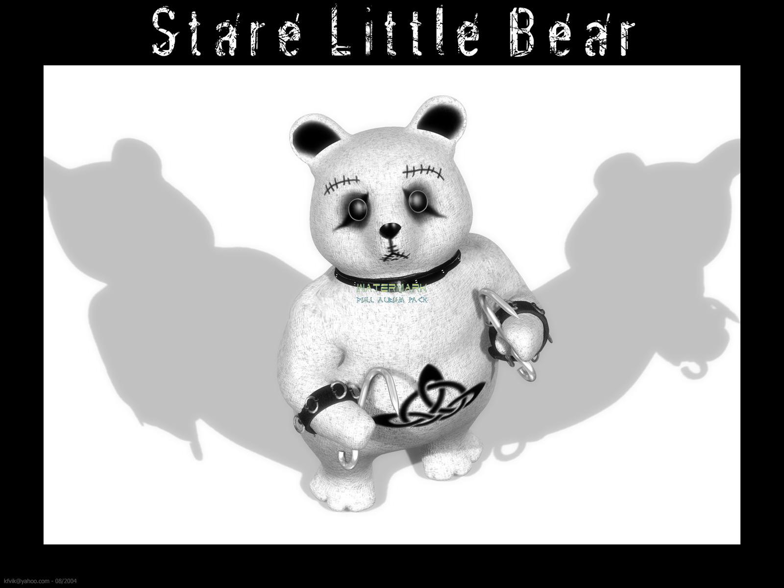 Stare Little Bear