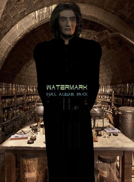 The Potions Master!