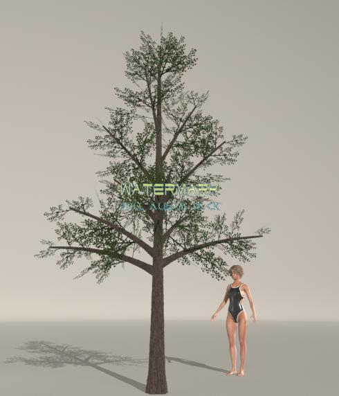 Just a free tree...