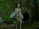 The watcher