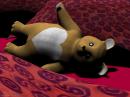 Teddybear of Broken Friendship