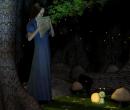 Forest Lullaby
