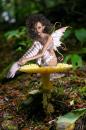 Fairy Mushroom For My Friend Tom