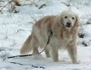 Playing in the snow