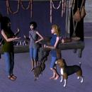 Proxima III Colony - Selling Hunting