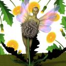 The Dandelion Fairy