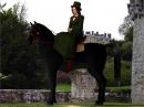 Sidesaddle Black