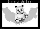 Stare Little Bear