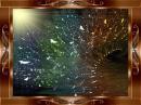Expressions of Light