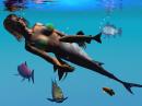 Allison the Mermaid