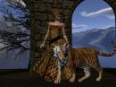 Lady and the tiger