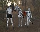 Jericho and Krysta with the p4 zebra in Iray